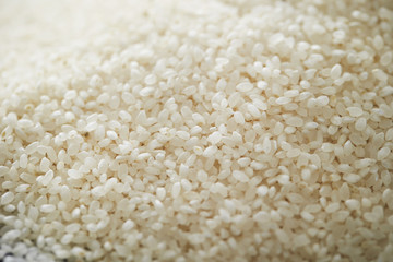 white rice