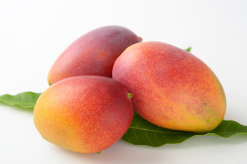 新鮮なマンゴー