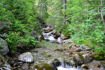 potok górski w Tatrach 