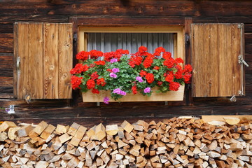 Fototapeta na wymiar Holzfenster Holzläden Geranien, Alpenhütte, Karwendel, Österreich