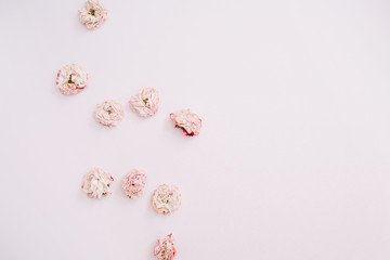 Pink dry roses buds arrangement on pink background. Flat lay, top view. Flowers background.