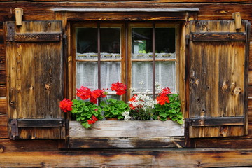 Fototapeta na wymiar Holzfenster Holzläden Edelweiß Geranien, Alpenhütte, Karwendel, Österreich