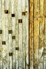 Knotty wooden wall textured