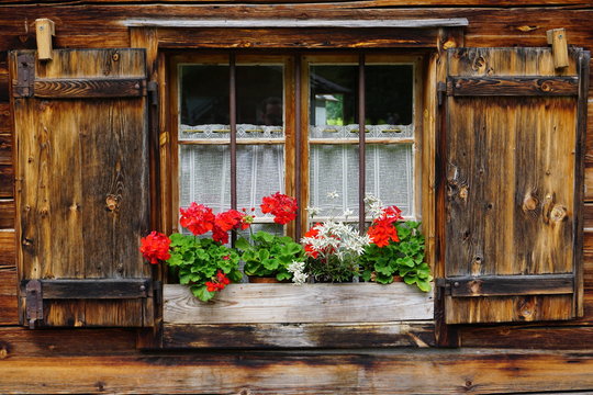 Holzfenster Holzläden Edelweiß Geranien, Alpenhütte, Karwendel, Österreich