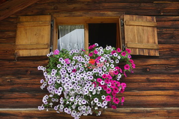 Fototapeta na wymiar Holzfenster Holzläden Blumen, Alpenhütte, Karwendel, Österreich