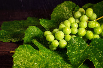 green grapes, bunch of grapes, leaves in the rain