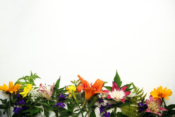 Collection of green leaves and flowers top view