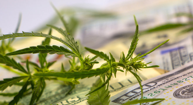 Money With Marijuana Leaf pills Close Up High Quality