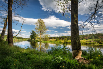 Bieberland an der alten Spree