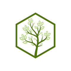 nature tree vector logo