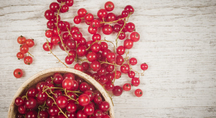 Fresh ripe red currants on rustic wood background.
