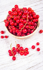 Fresh ripe red currants on rustic wood background.