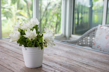 bouquet of white siam tulip flower in vase on wood table near window with garden view. decoration and interior