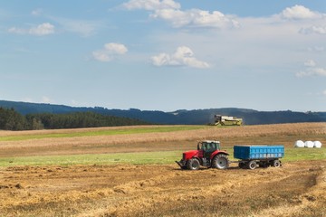 Obraz premium Combine harvester harvest ripe wheat on a farm in Czech Republic. Harvest time. Cultivation of grain on an agricultural farm.