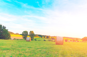 Hay circles on the field