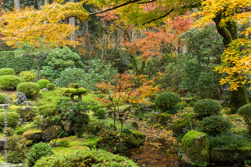 Sticker beautiful japanese garden in autumn