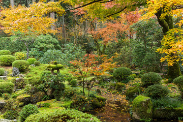 Beautiful Japanese garden in autumn