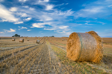 Field after harvest, straw bales on stubble