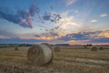 Field after harvest, straw bales on stubble