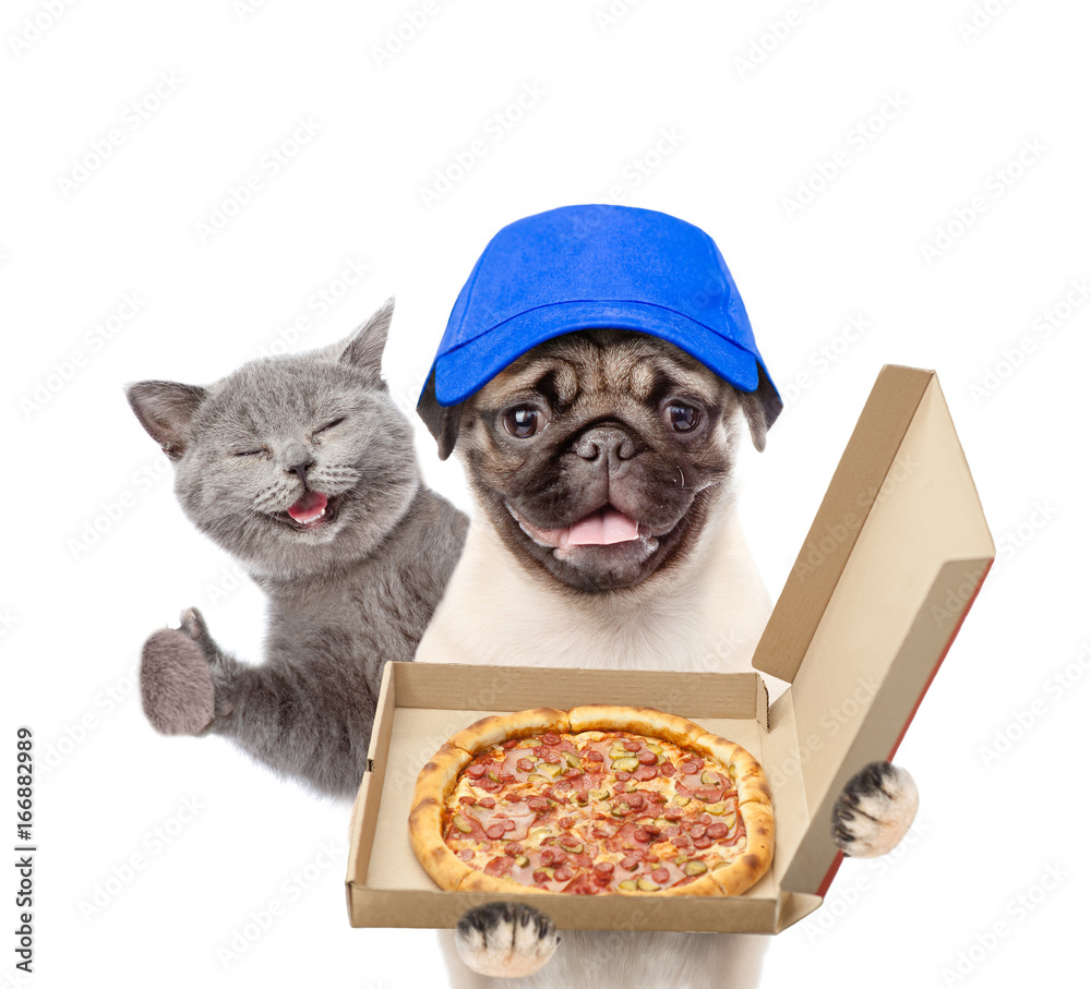 Poster cat and pizza dealer puppy with open boxes. isolated on white background