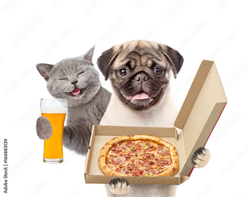Poster Funny cat with beer and puppy with open pizza boxes. isolated on white background