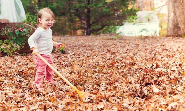 Happy toddler girl raking leaves 