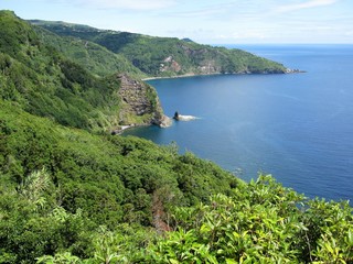 Fototapeta na wymiar Coastline of Flores island, The Azores