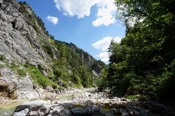 Fototapeta na wymiar Bach fließt durch urtümliches Tal in Berglandschaft