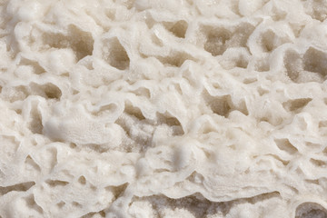 Dead Sea salt crystals natural mineral formation at the Dead Sea, Israel.