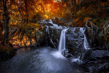 waterfall in the forest and light fair