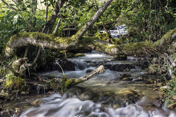 Fototapeta premium Waterfalls in a mountain stream