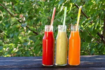 Fototapeta na wymiar Three bottles of juice with straws on a background of greenery, summer, sunlight