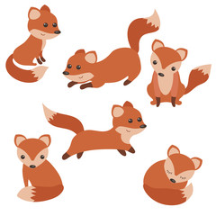 Set of cute foxes