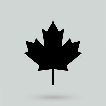 Canadian maple leaf icon with shadow isolated on a white background, stylish vector illustration for web design EPS10