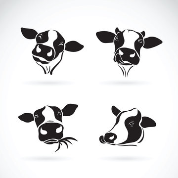 Vector group of a cow head design. Farm Animal.