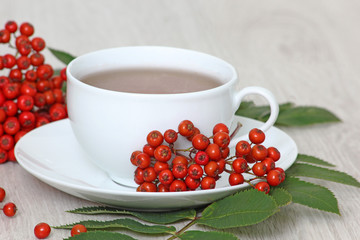 Cup of tea with rowan berries 