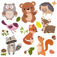 Forest animals.