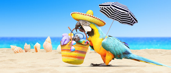 Papagei als Paradiesvogel am Strand - Urlaub Konzept