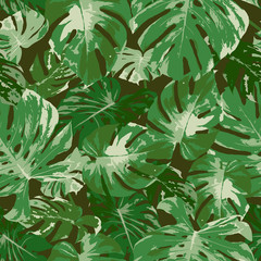 seamless pattern of tropical green monstera leaf, natural vector illustration background