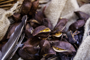 Corn and pumpkins in a traditional basket