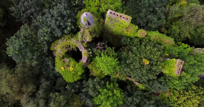 Aerial view of derelict castle ruins overgrown with trees.