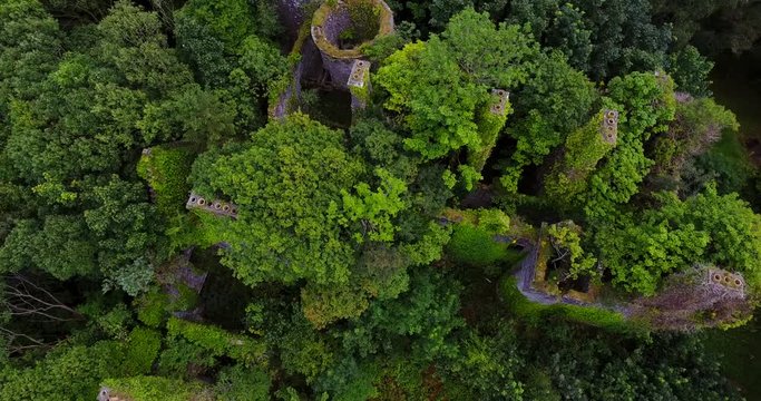 Aerial view of derelict castle ruins overgrown with trees.