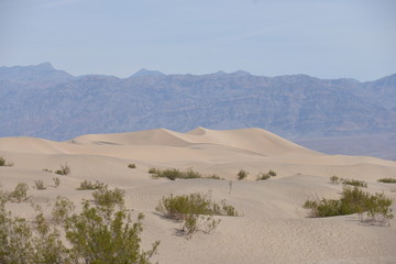 Mesquit Flat Sand Dunes, Death Valley, California