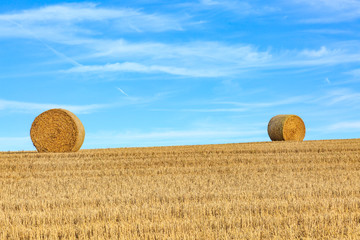 Hay Bales