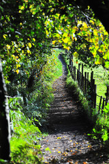Windermere, Lake District
