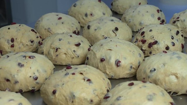 Pasticciere prepara un impasto per panettone