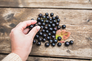 Hand hold berries black currant on the background of a wooden table.