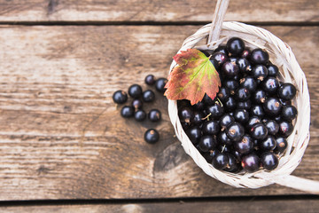 Background basket with berries black currant on a wooden table.