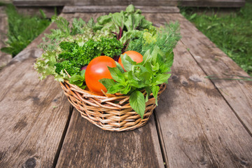 Basket with fresh vegetables close-up. Cucumbers, tomatoes, dill, parsley, mint. Season harvesting.