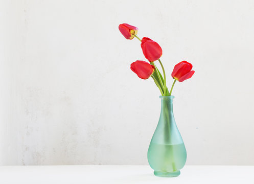 red tulops in vase on white background